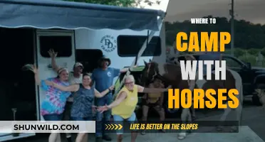 Exploring Nature's Trails: Horse-Friendly Camping Destinations Unveiled