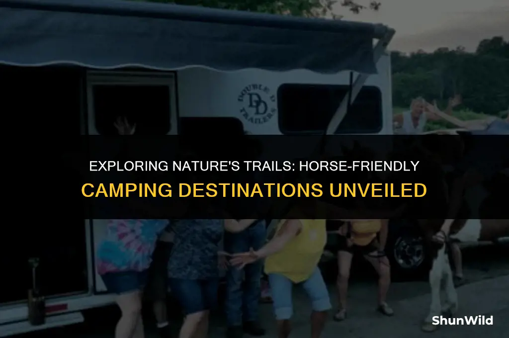 where to camp with horses