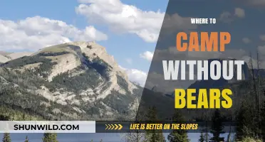 Bear-Free Camping: Discover Safe Havens in the Wilderness