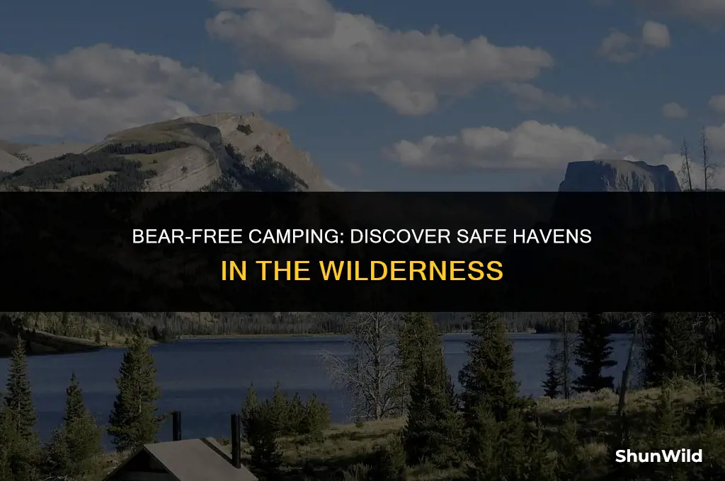 where to camp without bears