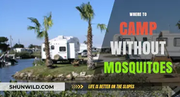 Escape the Buzz: Top Mosquito-Free Camping Spots Unveiled