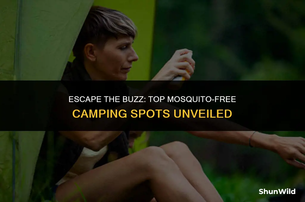 where to camp without mosquitoes