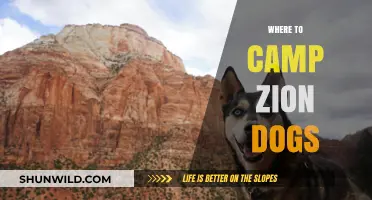 Zion's Best Kept Secrets: Top Dog-Friendly Campsites Unveiled