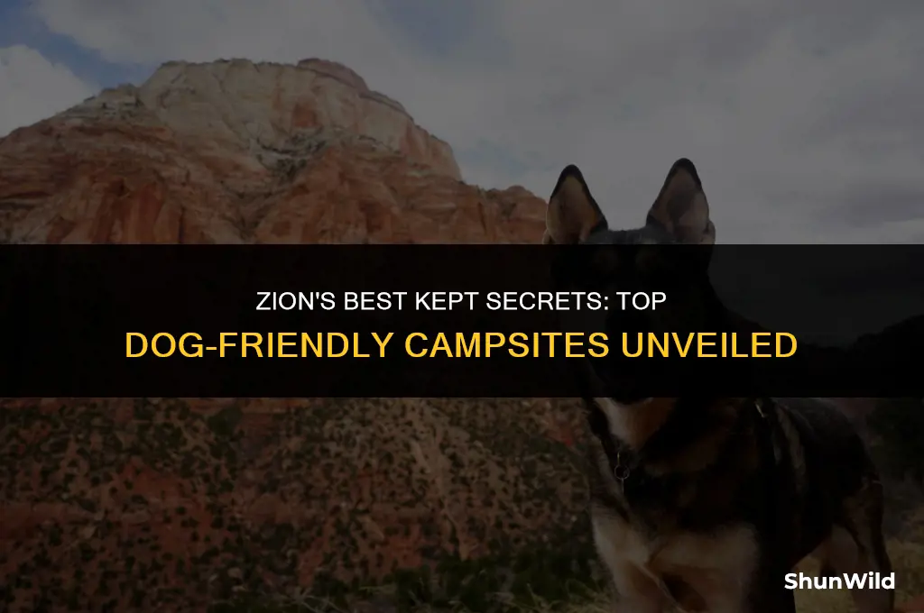 where to camp zion dogs