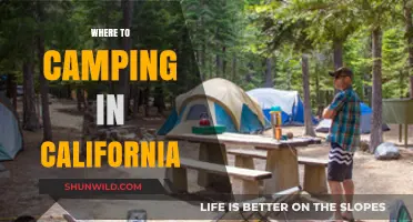 Discover California's Best Campsites: A Guide to Outdoor Adventures