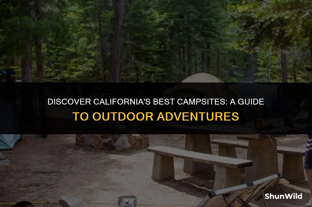 where to camping in california