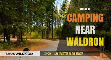 Discover the Best Camping Spots Near Waldron: A Guide to Outdoor Bliss