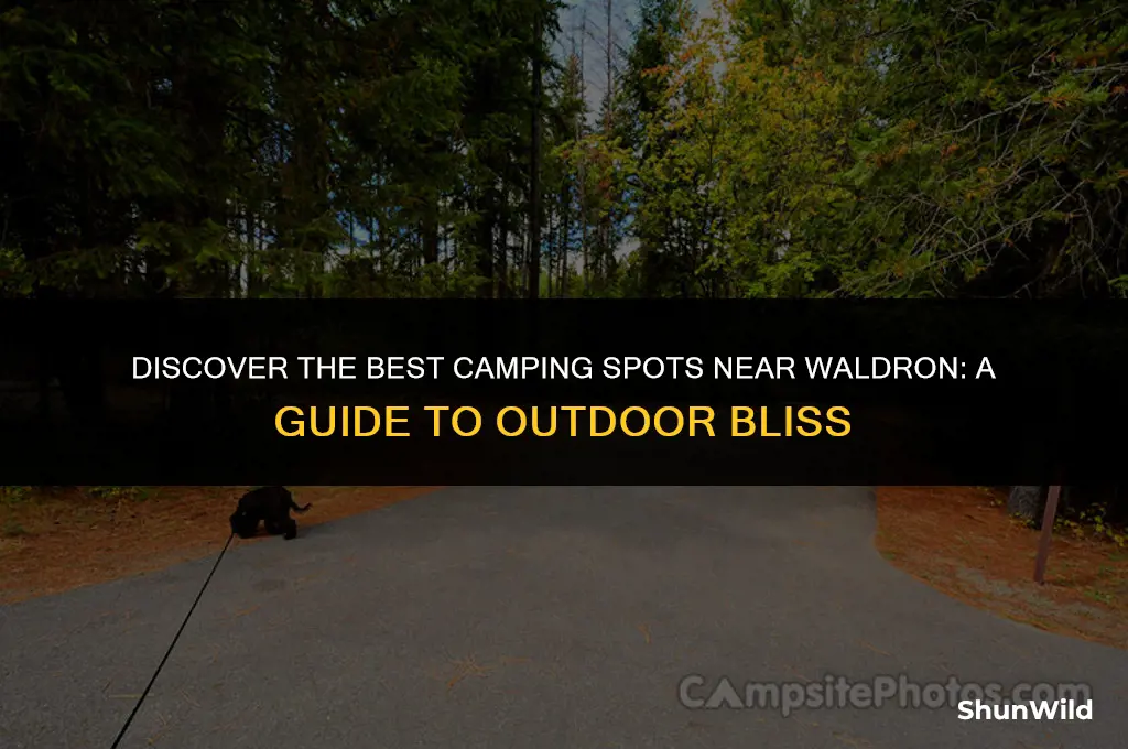 where to camping near waldron