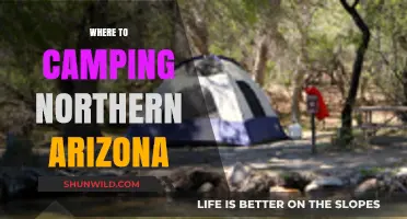 Discover the Best Camping Spots in Northern Arizona