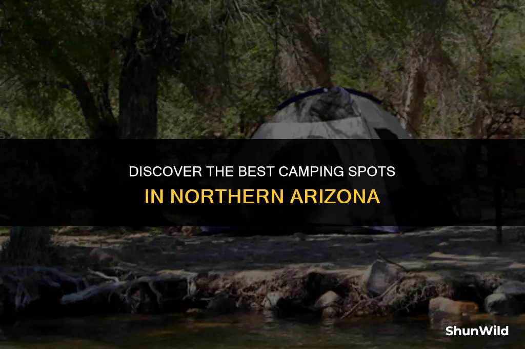 where to camping northern arizona