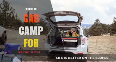 Discover the Best Spots for Car Camping Adventures