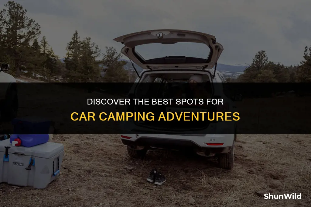 where to car camp for