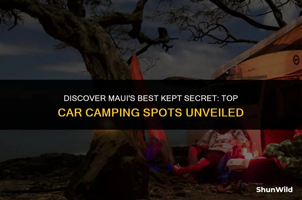 where to car camp maui