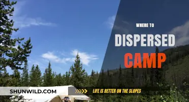 Exploring the Great Outdoors: Top Spots for Dispersed Camping