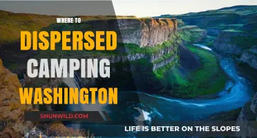 Discover the Best Dispersed Camping Spots in Washington State