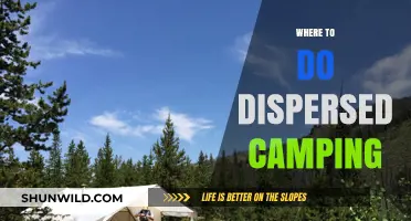 Exploring the Great Outdoors: A Guide to Dispersed Camping Spots