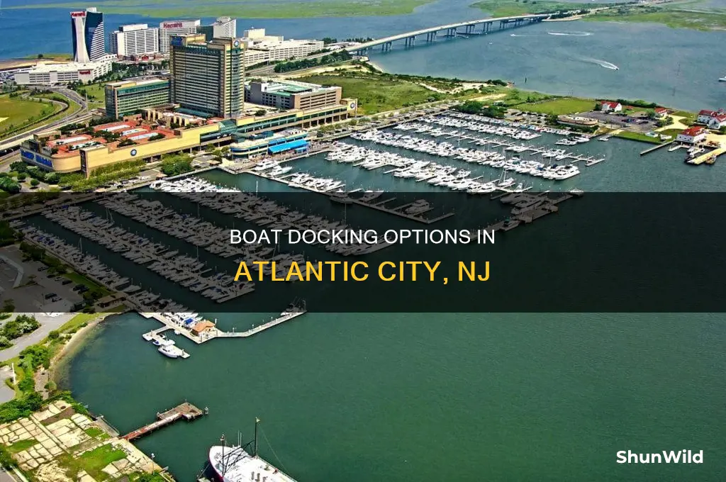 where to dock a boat in atlantic city nj