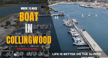 Collingwood's Best Boat Docking Options and Locations