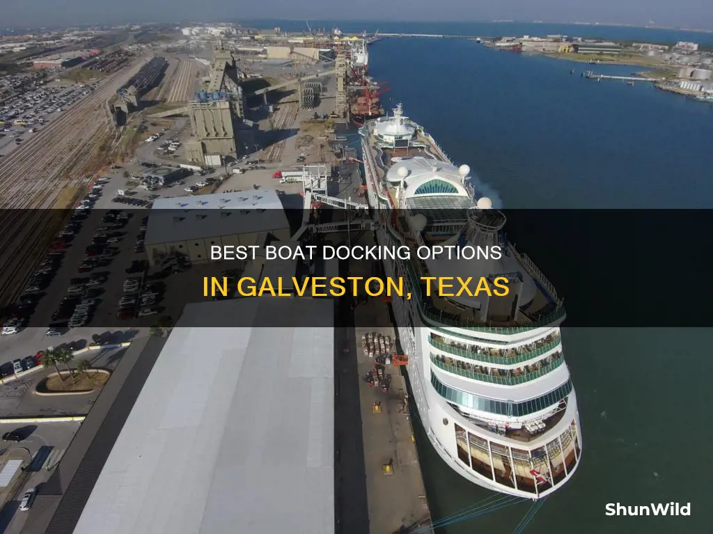 where to dock my boat in galveston