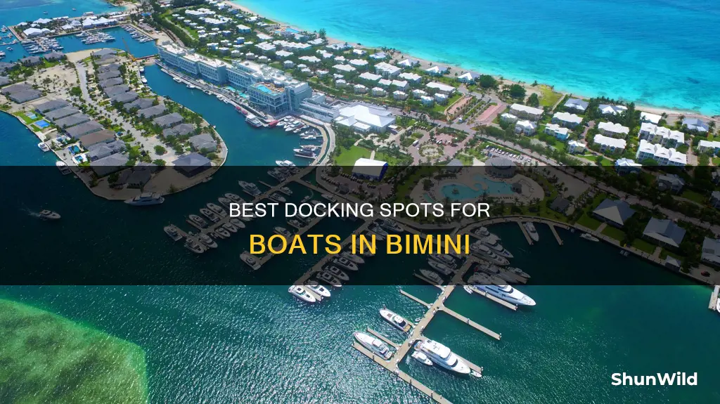 where to dock your boat in bimini