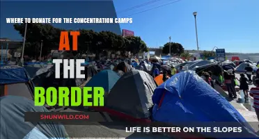 Supporting Border Camp Survivors: Where to Donate and Make a Difference