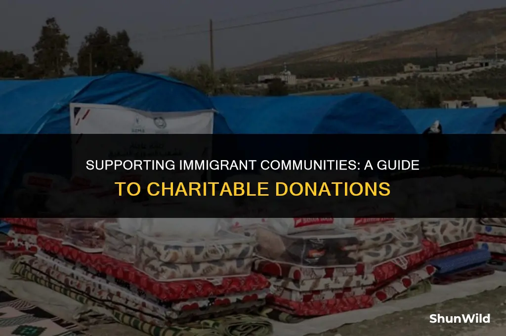 where to donate immigration camps