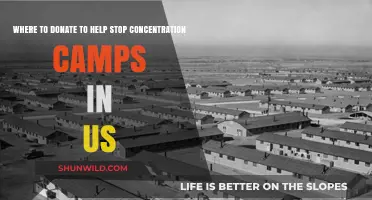 Take Action: Donate to End US Concentration Camps Now
