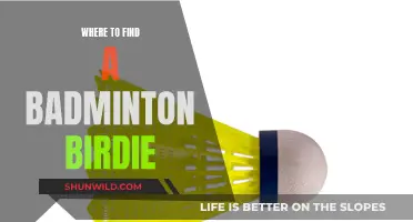 Best Places to Find Badminton Birdies