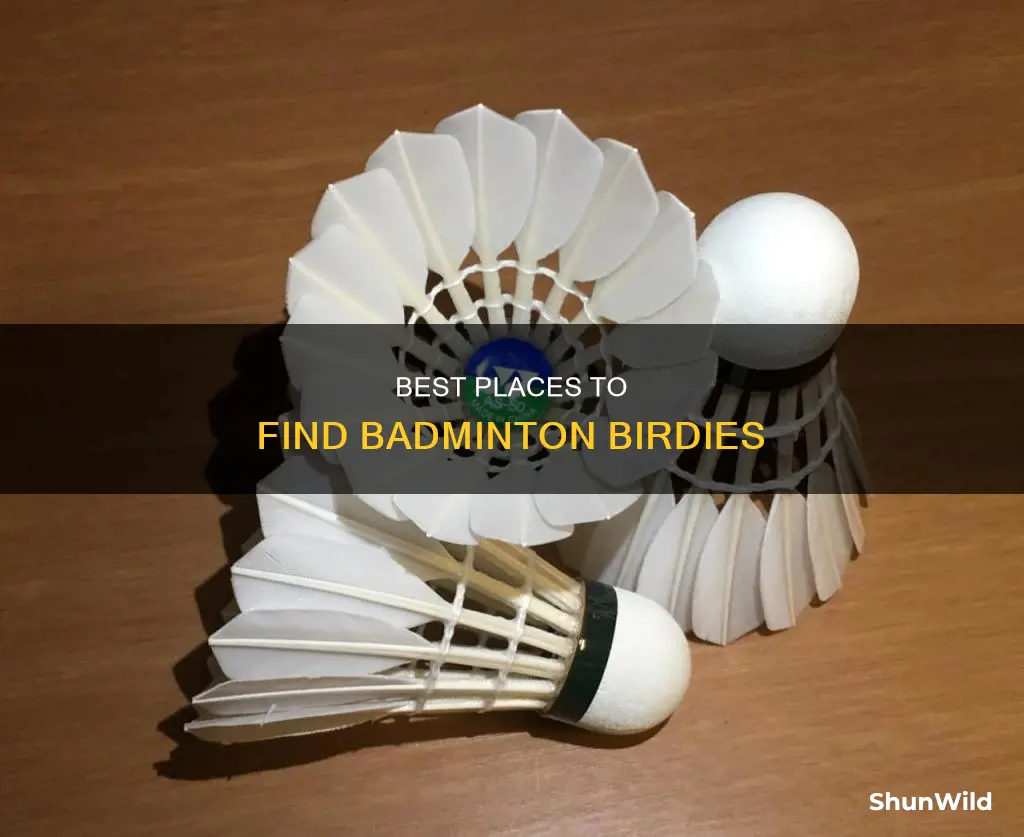 where to find a badminton birdie