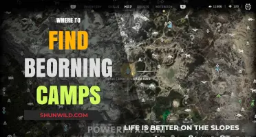 Discover the Best Bearing Camps: Your Ultimate Guide to Locations