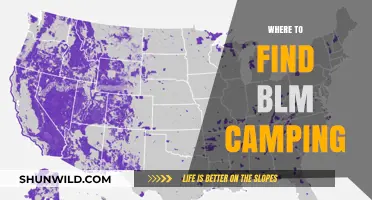 Discover BLM Camping: Your Guide to Public Lands and Outdoor Adventures