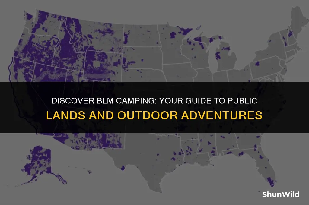 where to find blm camping