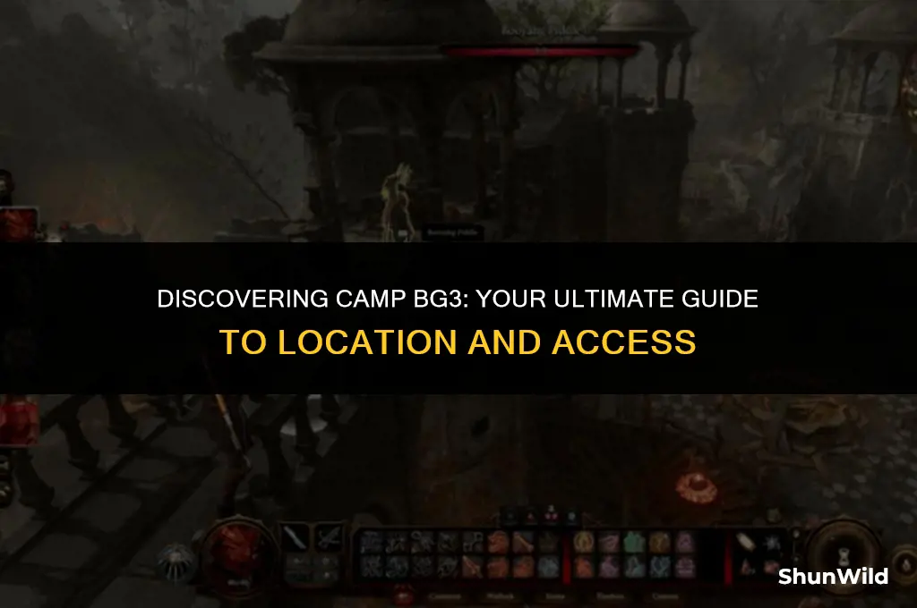 where to find camp bg3