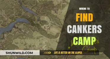Discovering Hidden Gems: A Guide to Finding Cankers Camp