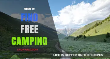 Discover Hidden Gems: Free Camping Spots Across the Globe
