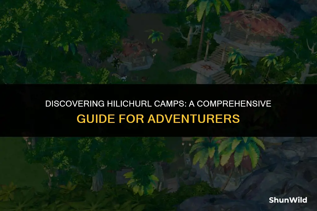 where to find hilichurl camps