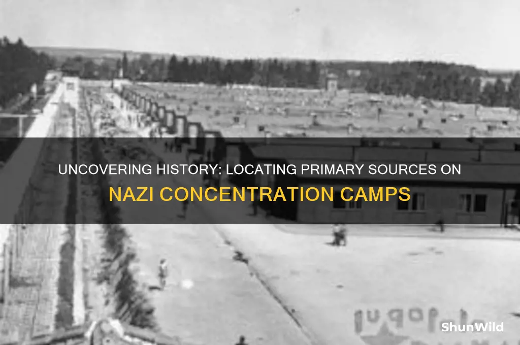 where to find primary sources for nazi concentration camps