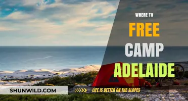 Discover Adelaide's Best Free Camping Spots: A Budget Traveler's Guide