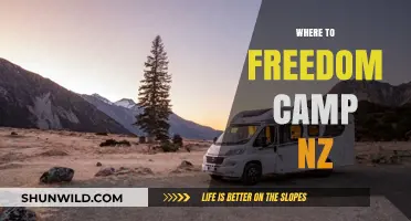 Exploring New Zealand: Top Spots for Freedom Camping Adventures