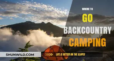 Exploring the Wilderness: Top Backcountry Camping Destinations