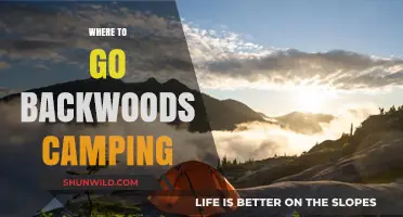 Exploring the Wilderness: Top Spots for Backwoods Camping Adventures