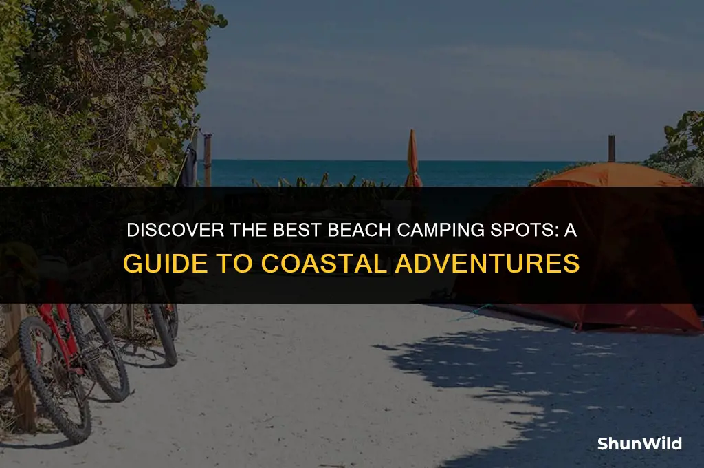 where to go beach camping