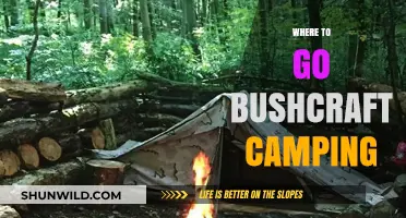 Exploring the Wilderness: Top Spots for Bushcraft Camping Adventures