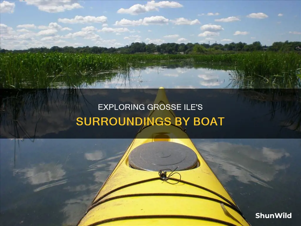 where to go by boat around grosse ile