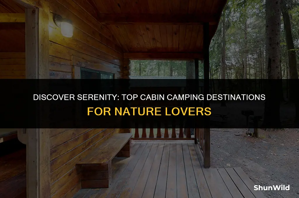 where to go cabin camping