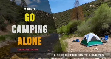 Solo Camping Adventures: Discovering Serenity in Nature's Embrace