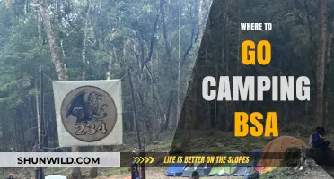 Discover the Best BSA Camping Spots: A Guide to Unforgettable Outdoor Adventures