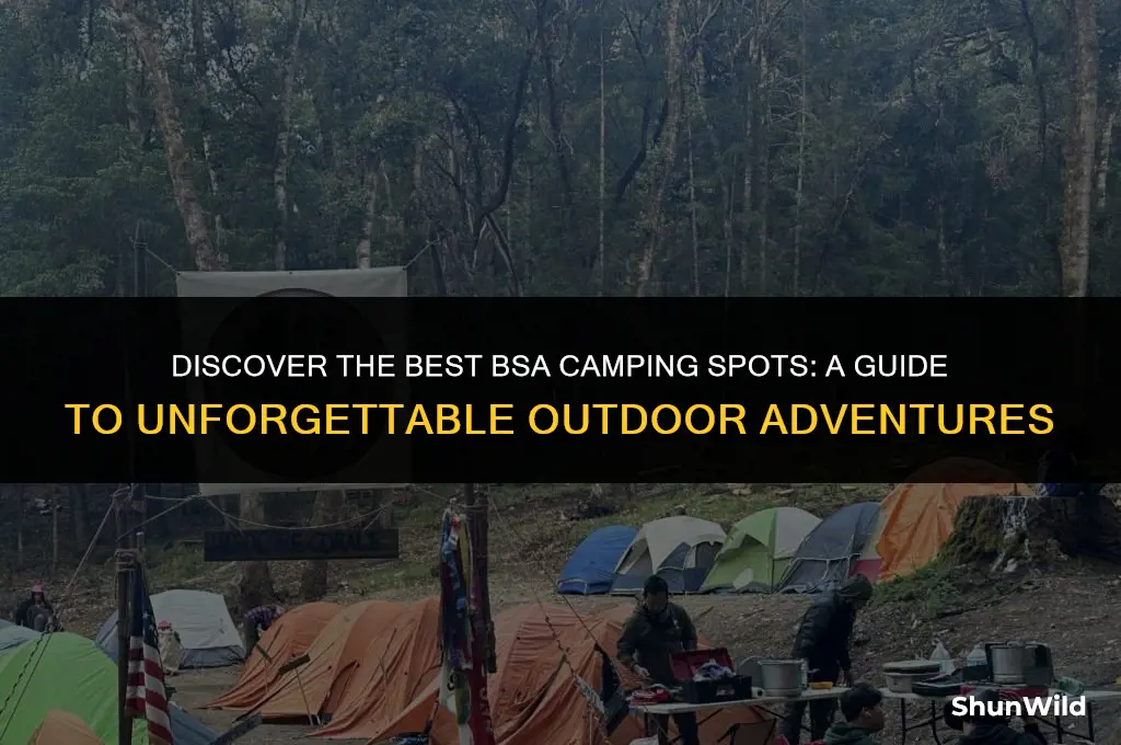 where to go camping bsa