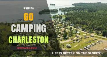 Exploring the Great Outdoors: Top Camping Spots Near Charleston