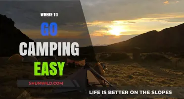 Discover the Best Easy Camping Spots Near You